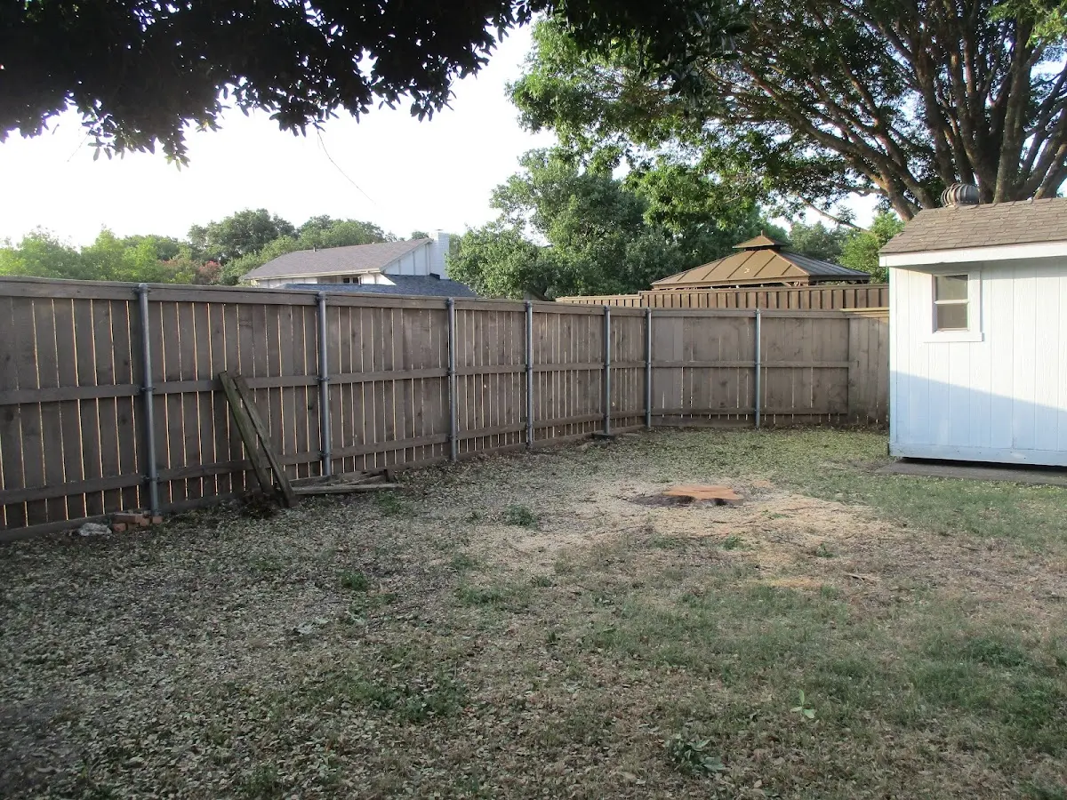 Cleared yard after professional tree removal in East Leroy