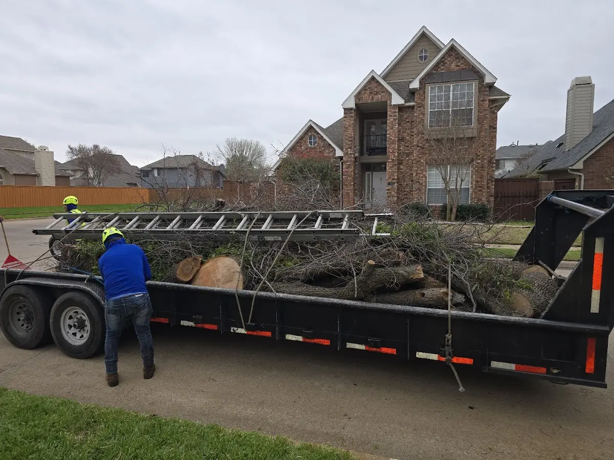 Expert Tree Removal with proper safety equipment in East Leroy